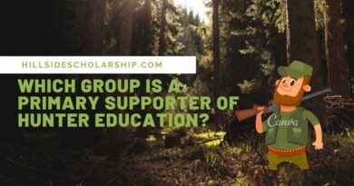 Which group is a primary supporter of hunter education?
